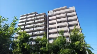 セレサ陽栄葛西【4階】の外観