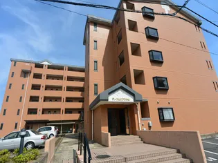 グレイスヒルズマンション【1階】の外観