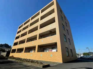 MYRSINA FOLIAの画像