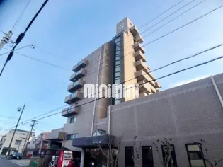 センチュリー材菊の画像