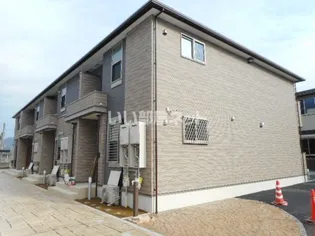 カメリアの画像