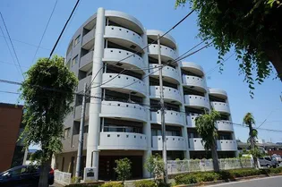 フォルシュTの画像