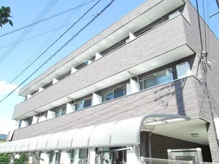 サン フォレスタの画像