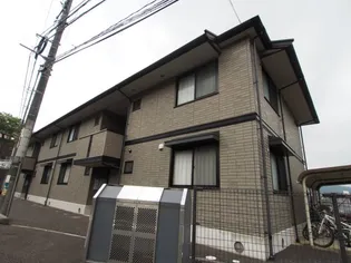 チャイブの画像