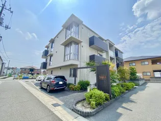 ノーヴァグレイスの画像