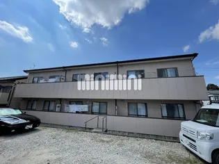 エクセルCナルセの画像