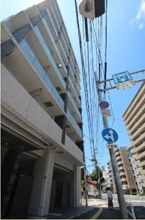 RUEX比治山橋の画像