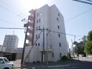 コモドNⅠの画像