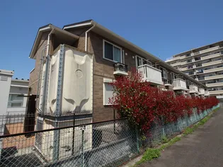 サンライズMの画像