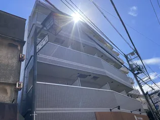 シェルティ二子の画像