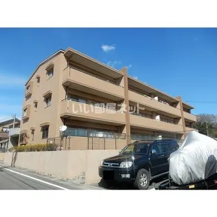 プランドールの画像