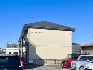 ミレ フォーレスの画像