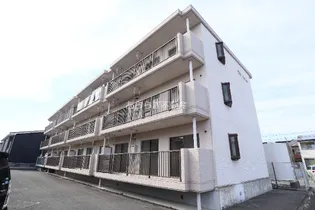 静岡県浜松市中央区参野町【マンション】の外観