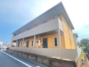 ピュアロードの画像