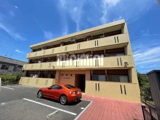 ネストテンポラリの画像