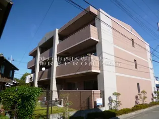 グランデージーの画像