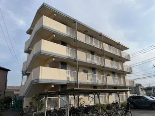 リヴェールパオの画像