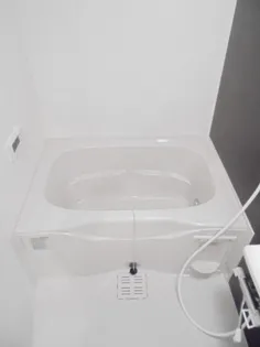 Grandrich EX【2階】の風呂