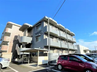 セントポーリアIIの画像