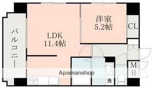エルフィナ八王寺 A棟【9階】の間取り