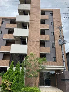 ビスタユーアの画像