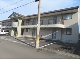 シャルムキリムラの画像