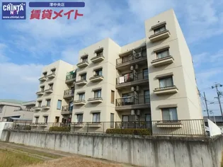 テピカルイブ 3の画像