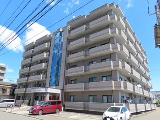 ファーストフィンガーの画像