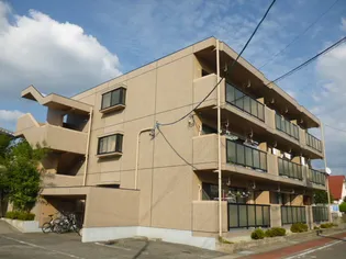 シャルマン光の画像