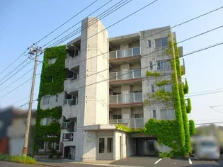 アイビーステイツの画像