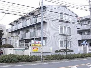 泉ハイツの画像