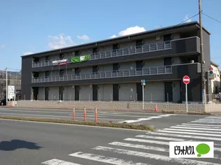 AVENIRの画像