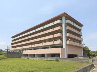 グレイスインジャドの画像