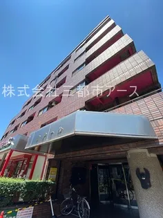 ノアールの画像