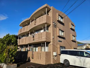 レテッツイア光風の画像