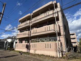 サンコートヒロの画像