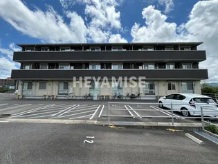 ラフィットの画像