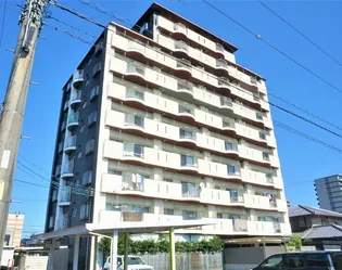 ロイヤルサイキの画像