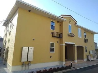 ステラ ガーデンの画像