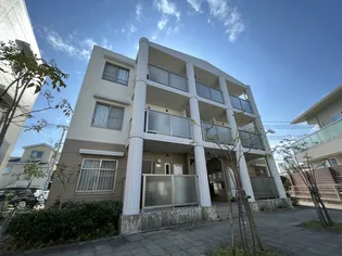 パル グレース島IIの画像