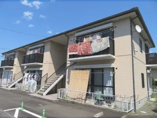 ピュアコートIIの画像