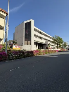 サウス テラ 66の画像
