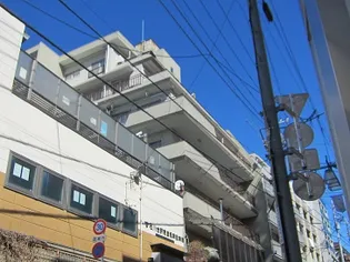コープベルツリーの画像