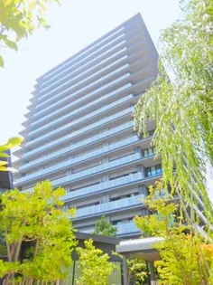 金澤雅壇の画像