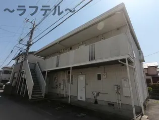 ラプラスコダマの画像