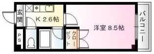 キャンパスヴィレッジ【1階】の間取り