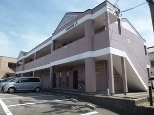 ネオパリエBの画像