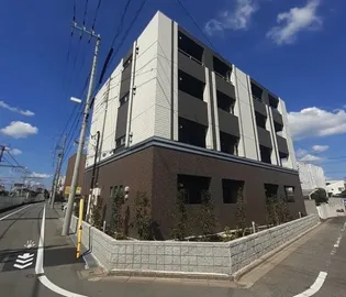 ブルーローズの画像