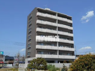 THE T O MIIの画像