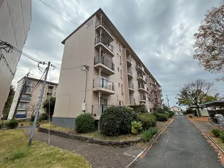 男山第4住宅311棟の画像